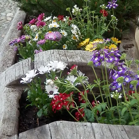 Hotel Palazzo Mysanus