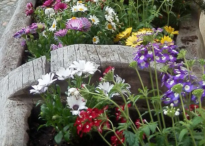 Hotel Palazzo Mysanus